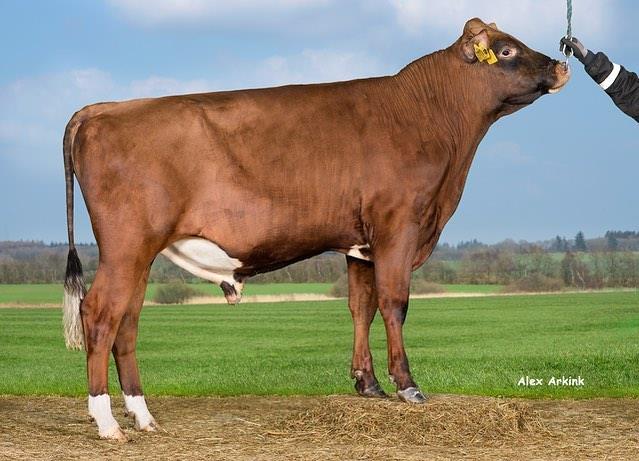 VILJAR FRANCESCO — CO 28507
